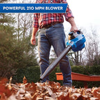 Vacmaster Blue Line 12-Gallon* 5 Peak HP† Wet/Dry Vacuum with Detachable Blower VBV1210