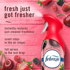 Febreze Air Mist, Air Freshener Spray, Odor Fighting Room Spray, Deodorizer for Home Bathroom Kitchen Office Apartment Dorm R